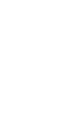 Simplifier